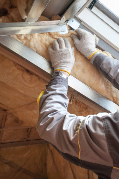 Types of Insulation We Offer in Malabar, FL